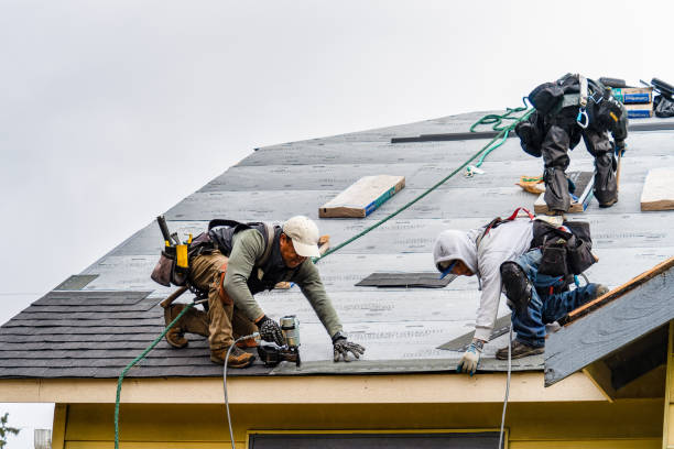 Professional Gutter Installation technician working in Evans, WA